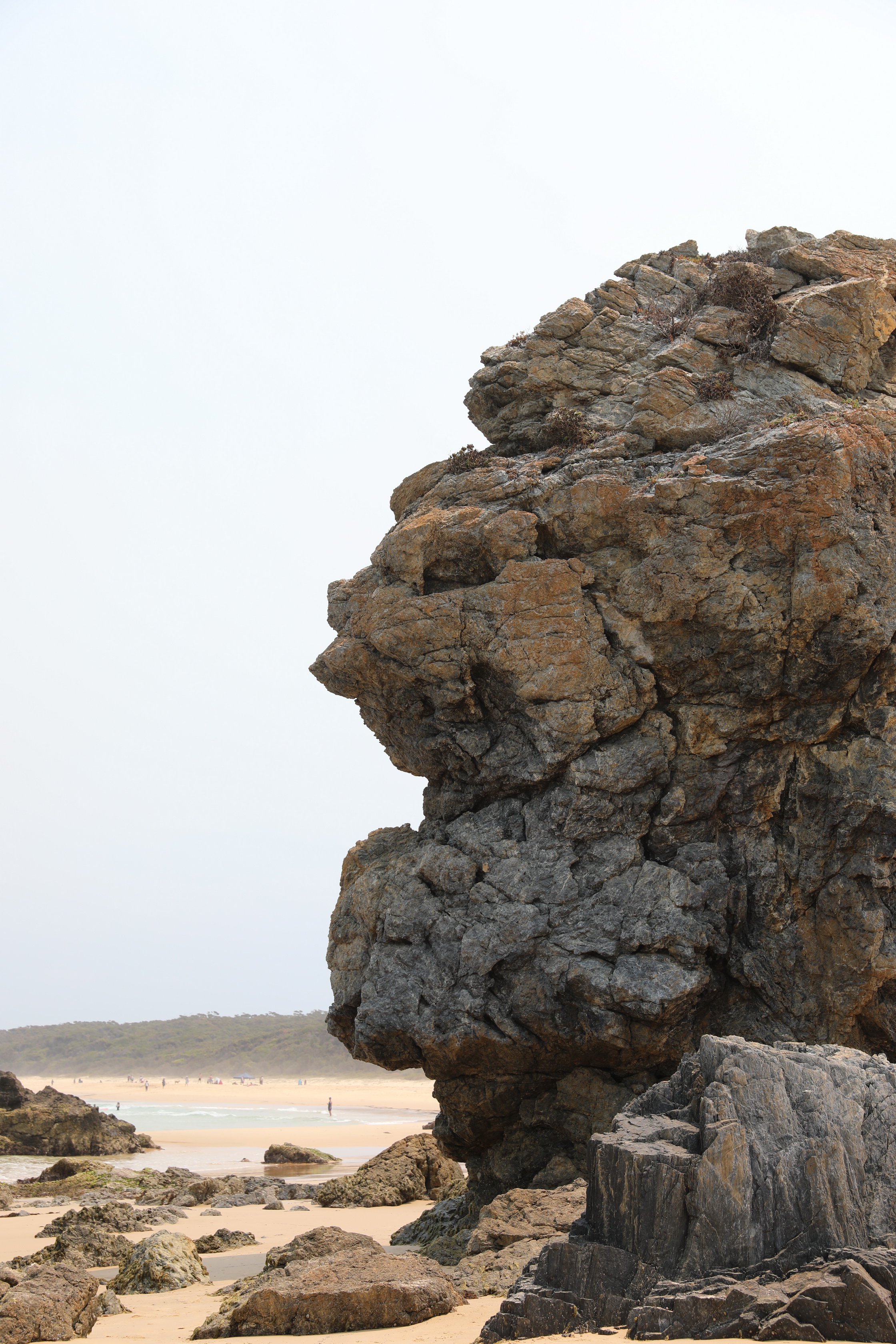 2019 12 27 14 11 00 Canon EOS 5D Mark IV 0015